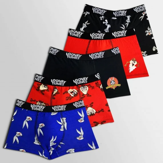 Set of 5 Looney Tunes Boy's Cotton Boxers (Boxers) French Market on FrenchMarket