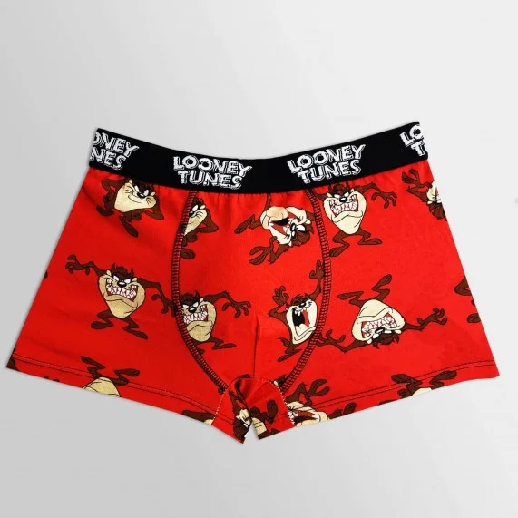 Set di 5 boxer di cotone da ragazzo dei Looney Tunes (Boxer da ragazzo) French Market chez FrenchMarket