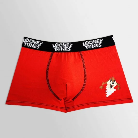 Set of 5 Looney Tunes Boy's Cotton Boxers (Boxers) French Market on FrenchMarket