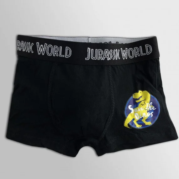 Lot de 5 Boxers Coton Garçon Jurassic World (Boxers) French Market chez FrenchMarket