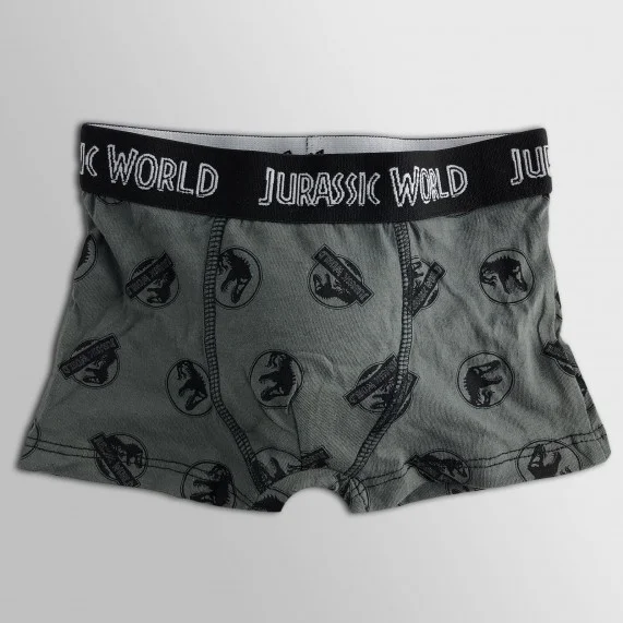 Lot de 5 Boxers Coton Garçon Jurassic World (Lot boxers Garçon) French Market chez FrenchMarket