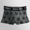 Lot de 5 Boxers Coton Garçon Jurassic World (Boxers) French Market chez FrenchMarket