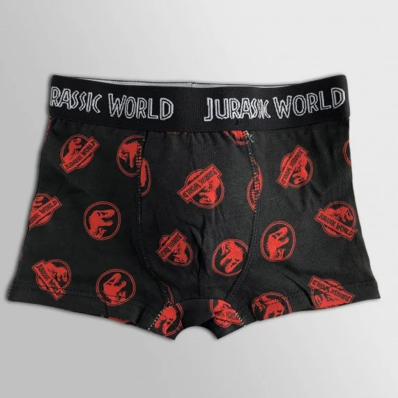 Lot de 5 Boxers Coton Garçon Jurassic World (Boxers) French Market chez FrenchMarket