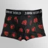 Lot de 5 Boxers Coton Garçon Jurassic World (Lot boxers Garçon) French Market chez FrenchMarket