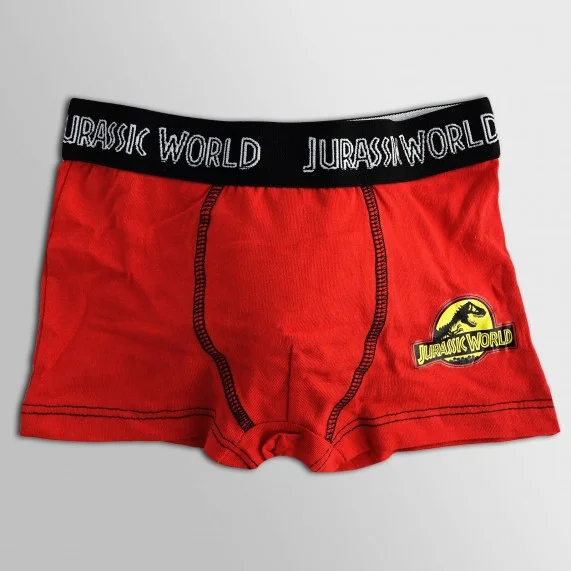 Lot de 5 Boxers Coton Garçon Jurassic World (Boxers) French Market chez FrenchMarket