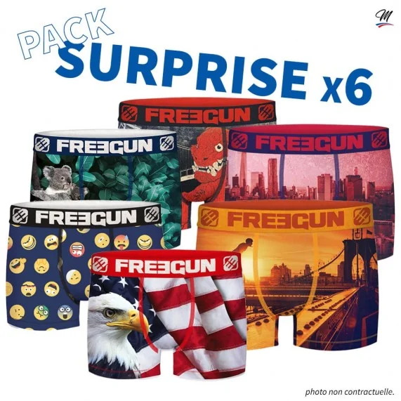 Paquete de 6 bóxers de alta calidad para hombres "Pack Surprise" (Calzoncillos para hombre) Freegun chez FrenchMarket