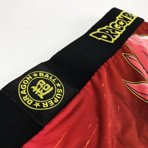 Bóxer para hombres de Dragon Ball Super (Boxers) Freegun chez FrenchMarket