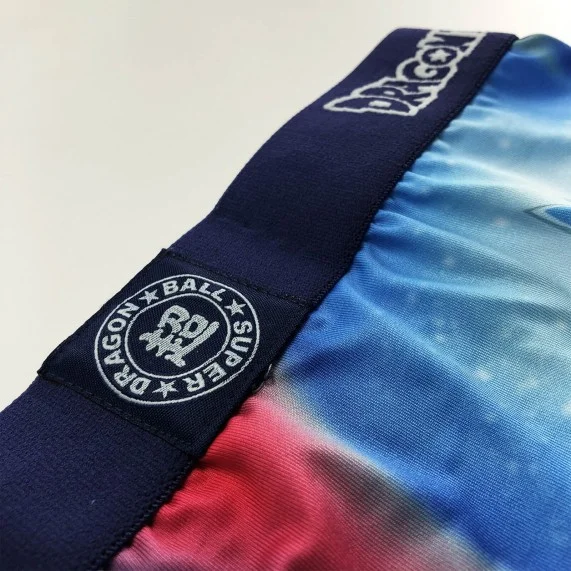 Bóxer para hombres de Dragon Ball Super (Boxers) Freegun chez FrenchMarket