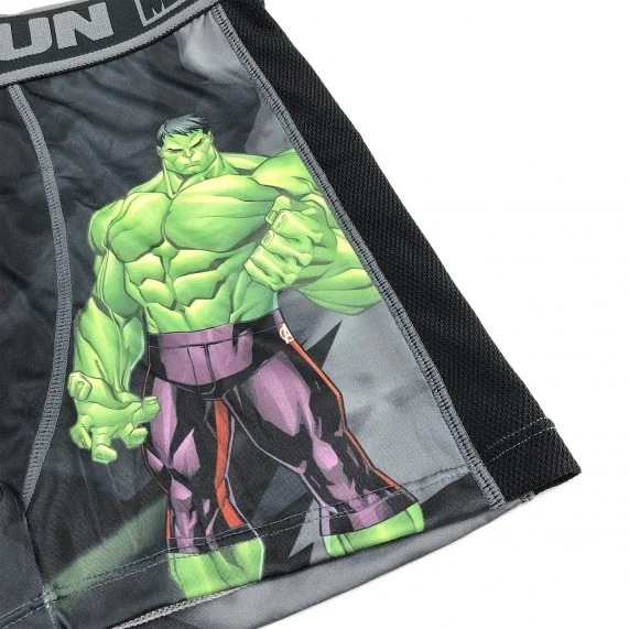 FREEGUN Hombre Aktiv Sport Boxer Marvel Hulk (Boxers) Freegun chez FrenchMarket