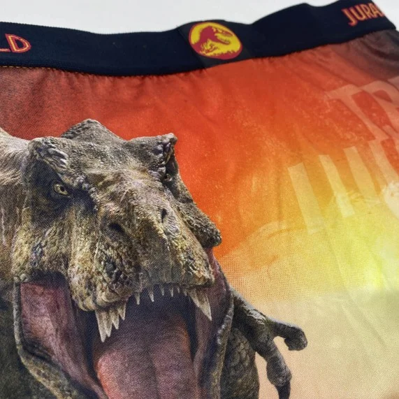 Boxer para hombres de Jurassic World (Boxers) Freegun chez FrenchMarket