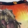 Jurassic World Men's Boxer (Boxers) Freegun on FrenchMarket