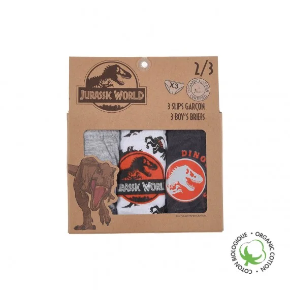 Jurassic World - Lot de 3 Slips Coton Garçon (Slips) French Market chez FrenchMarket