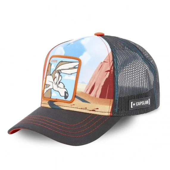 Gorra Trucker Looney Tunes Vil Coyote (Gorras) Capslab chez FrenchMarket