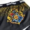 Juego de 3 calzoncillos de niña de Harry Potter (Boxers/Shorty) French Market chez FrenchMarket