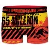 Boxer para hombres de Jurassic World (Boxers) Freegun chez FrenchMarket