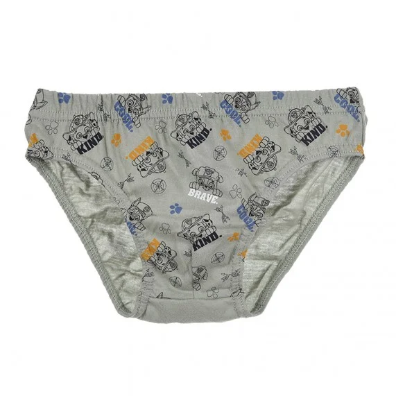 Paw Patrol - Set of 3 Boy's Cotton Briefs (Briefs) French Market on FrenchMarket