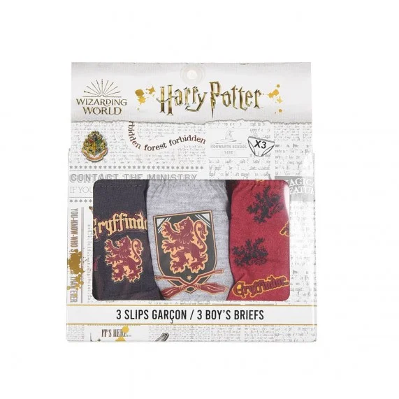 Harry Potter - Juego de 3 calzoncillos de algodón para niño (Breves) French Market chez FrenchMarket