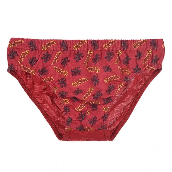 Harry Potter - 3er-Pack Baumwoll-Slips Jungen (Briefs) French Market auf FrenchMarket