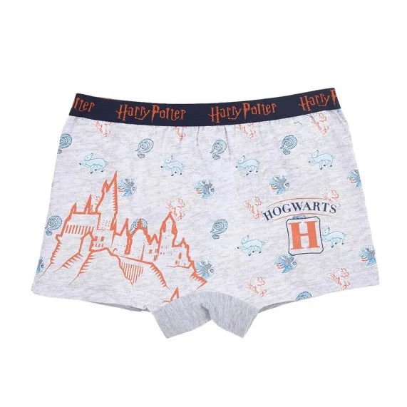 Set di 4 boxer in cotone da ragazzo Harry Potter (Boxer da ragazzo) French Market chez FrenchMarket