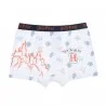 Set di 4 boxer in cotone da ragazzo Harry Potter (Boxer da ragazzo) French Market chez FrenchMarket