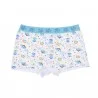 4er-Pack Boxershorts aus Baumwolle für Jungen Paw Patrol (Boxer) French Market auf FrenchMarket