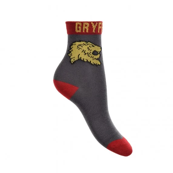 Lot de 6 Paires de Chaussettes Garçon Harry Potter (Fantaisies) French Market chez FrenchMarket