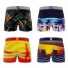 Lote de 4 calzoncillos bóxer para chicos "Summer Beach (Calzoncillos de niño) Freegun chez FrenchMarket