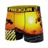 Boxer Homme Microfibre Recyclé "Paysage du Monde" (Boxers Homme) Freegun chez FrenchMarket