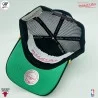 Chicago Bulls HWC "Gold Leaf" NBA Trucker Cap (Gorras) Mitchell & Ness chez FrenchMarket