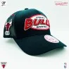 Casquette Trucker NBA Chicago Bulls HWC "Team Seal" (Casquettes) Mitchell & Ness chez FrenchMarket