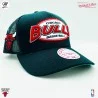 Cappello trucker Chicago Bulls HWC "Team Seal" NBA (Cappellino) Mitchell & Ness chez FrenchMarket