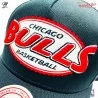 Casquette Trucker NBA Chicago Bulls HWC "Team Seal" (Casquettes) Mitchell & Ness chez FrenchMarket