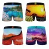 Lot de 4 Boxers Garçon Microfibre Recyclé Paysage du Monde (Lot boxers Garçon) Freegun chez FrenchMarket