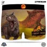 Boxer para hombres de Jurassic World (Boxers) Freegun chez FrenchMarket