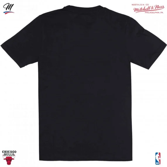 Maglietta Chicago Bulls "NBA Team Logo (T Shirt) Mitchell & Ness chez FrenchMarket