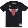 Chicago Bulls "NBA Team Logo" T-Shirt (T Shirts) Mitchell & Ness on FrenchMarket