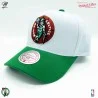 Cappellino NBA Boston Celtics HWC "Team 2 Tone 2.0 (Cappellino) Mitchell & Ness chez FrenchMarket