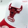 NBA Chicago Bulls HWC "Team 2 Tone 2.0" Cap (Cap) Mitchell & Ness auf FrenchMarket