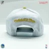 NBA Golden State Warriors HWC "Team 2 Tone 2.0" pet (Caps) Mitchell & Ness chez FrenchMarket