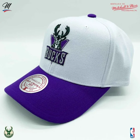 Milwaukee Bucks HWC "Team 2 Tone 2.0" NBA Cap (Caps) Mitchell & Ness on FrenchMarket