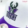 Milwaukee Bucks HWC "Team 2 Tone 2.0" NBA Cap (Caps) Mitchell & Ness on FrenchMarket