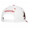 Casquette NBA Chicago Bulls "Tail Sweep Pro" (Casquettes) Mitchell & Ness chez FrenchMarket