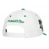 Casquette NBA Boston Celtics "Tail Sweep Pro" (Casquettes) Mitchell & Ness chez FrenchMarket