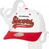 Gorra NBA "Tail Sweep Pro" de los Sixers de Filadelfia (Gorras) Mitchell & Ness chez FrenchMarket