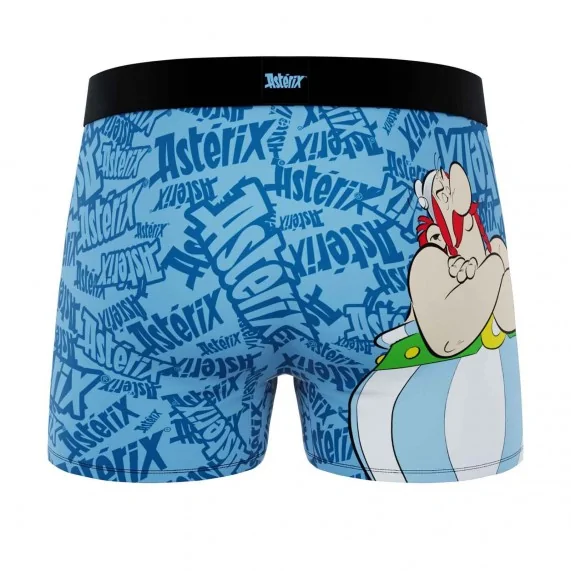 Calzoncillos bóxer de microfibra para hombre "Obelix (Boxers) Freegun chez FrenchMarket