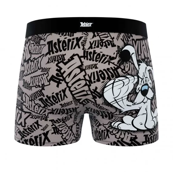 Boxer in microfibra da uomo "Dogmatix (Boxer) Freegun chez FrenchMarket