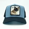 Coole kat trucker pet (Caps) Goorin Bros chez FrenchMarket