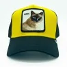 Cappello Trucker Cool Cat (Cappellino) Goorin Bros chez FrenchMarket