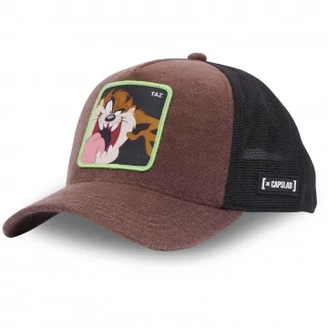 Looney Tunes "TAZ" Sponge Cap