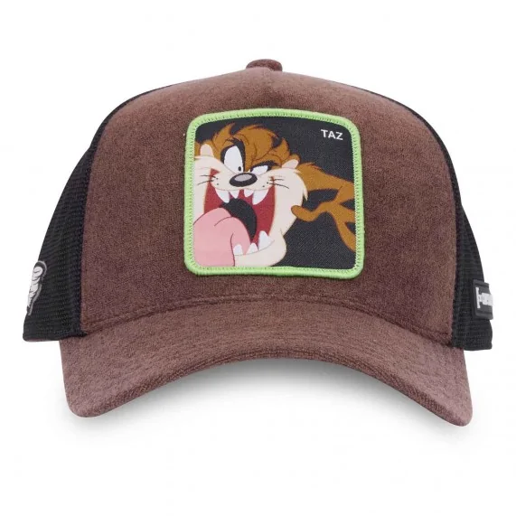 Tappo di spugna "TAZ" dei Looney Tunes (Cappellino) Capslab chez FrenchMarket